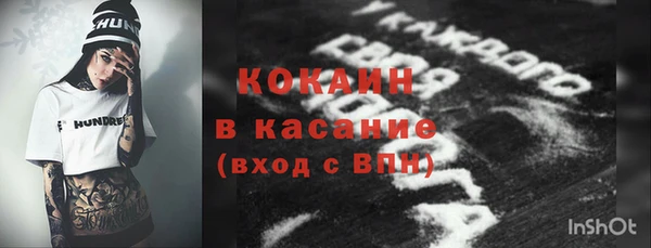 тгк Пионерский