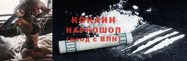 дурь Магас