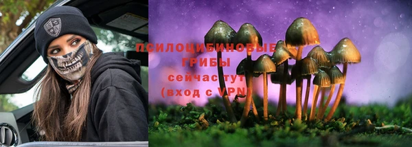 ГАЛЛЮЦИНОГЕННЫЕ ГРИБЫ Майский